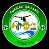 qalaafe71