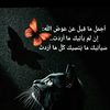 safwa.rejebi
