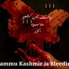 umarkashmiri255