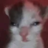 mari 😱