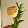 silvamaia34