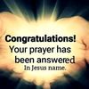 user4317036602019