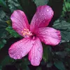 wa.fernandes09