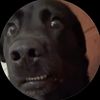 goofy_pr