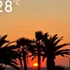 benga1203