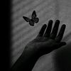basma.mohamed893