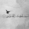 zainswmhmg2