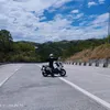 stallion_2000