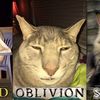 nekomomoz