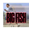 bigfish27s