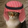 wongruwet_2024