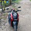 fino____red