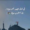 user4781304619612