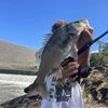 kallinfishing
