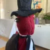 alekszzynderr