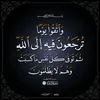 user1916160820424