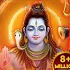 nehasharma777666