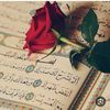 nora931048821467