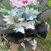 aries_reog80