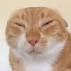 elizka.sie.slizga