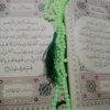 user53986375109135