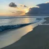 hthoaimlo1