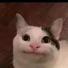 christiancainglet6