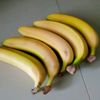 nadhifshaquile
