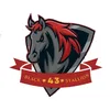BLACKSTALLION 43