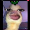 zhu_wila