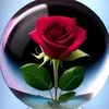 aras.0911
