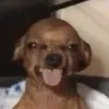 patryk9999