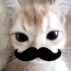 gintamatoki