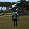 harrisonlioni