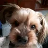 stellamarisdedios