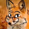 flothefox