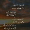ayesha35690