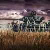 brunatny_tanker_505