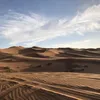 leila3436