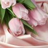 zeynepesen509