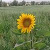 user291751376555