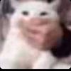 ninilivv0