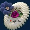 salwa9130