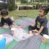 www.tiktok.comsuryafarm
