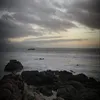shinthui68