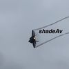 shadeaviation