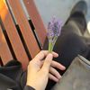 areebataj17