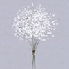 moonmood1529