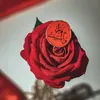 user9057344153060
