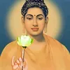 Tường Vi - Đồ Thờ Phật Giáo
